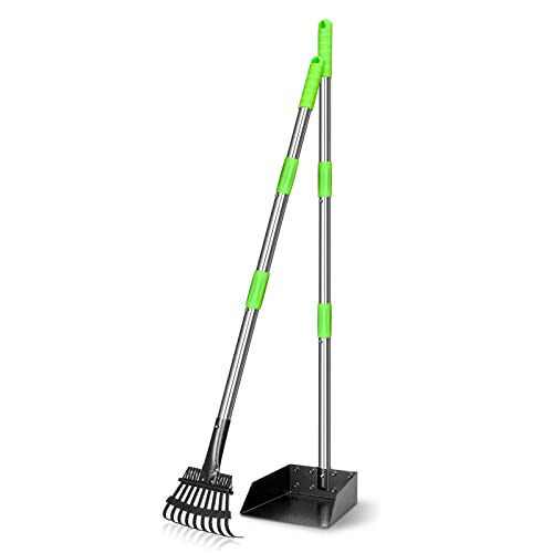 TOOGE Pooper Scooper, Dog Pooper Scooper Long Handle Stainless Metal Tray and Rake Set for Medium Small Dogs Heavy Duty (Green)
