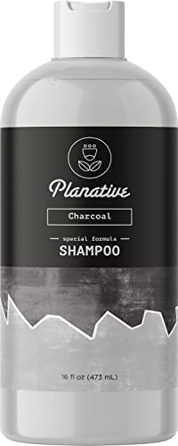Activated Charcoal Shampoo for Oily Hair - Sulfate Free Clarifying Shampoo for Build Up and Scalp Detox - Deep Cleansing Shampoo for Greasy Hair and Scalp Cleanser for Build Up with Moisturizing Oils