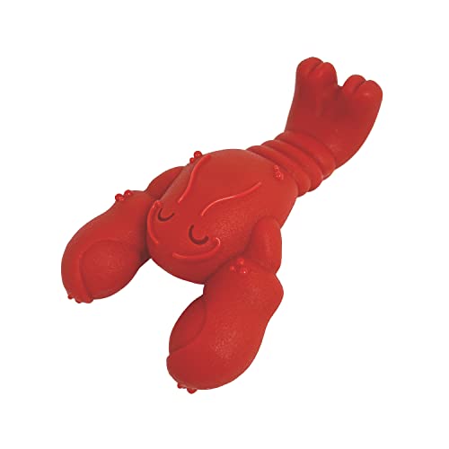 NYLABONE Lobster Dog Toy Power Chew – Cute Dog Toys for Aggressive Chewers – with a Funny Twist! Filet Mignon Flavor, Small/Regular