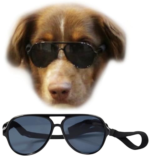 G010 Dog pet Costume Aviator Sunglasses for Medium Breeds 20-40 lbs (Black)