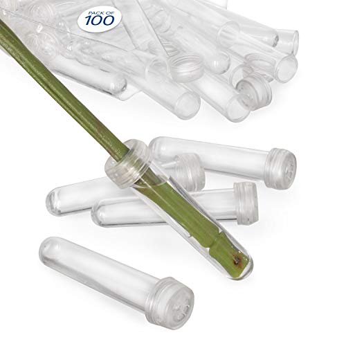 Floral Water Tubes/Vials for Flower Arrangements by Royal Imports, Clear - 3' (1/2' Opening) - Standard - 100/Pack - w/Caps
