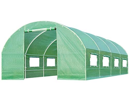 Greenhouse Walk-in Green House Greenhouse Kit with Observation Windows for Outdoor Plants Growing,Green Houses for Outside (L20'xW10'xH7')