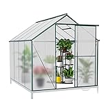 JULY'S SONG 6'L x 8'W Greenhouse, Polycarbonate Hobby Greenhouse w/Sliding Door, Window Gutter for Winter,Heavy Duty Greenhouse Kit for Backyard/Outdoor Use