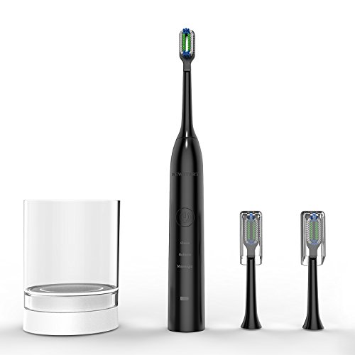 Sonic Electric Toothbrush, Power Rechargeable Toothbrush with 4 Brushing Modes, with 5 Replacement Heads (Black)