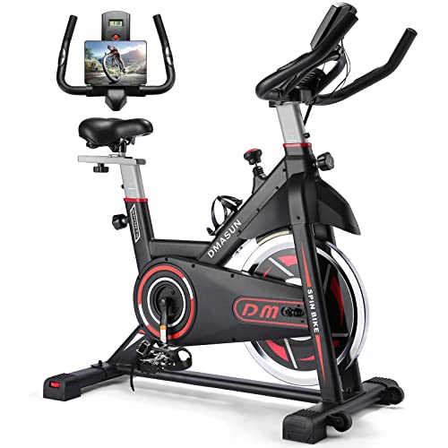 DMASUN Exercise Bike, Indoor Cycling Bike Stationary, Cycle Bike with Comfortable Seat Cushion, Digital Display with Pulse, iPad Holder