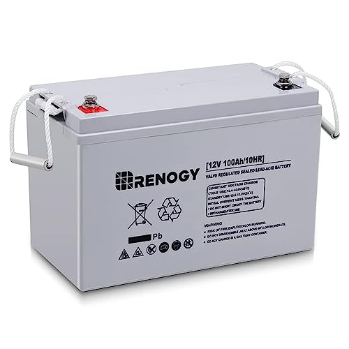 Renogy Deep Cycle AGM 12 Volt 100Ah Battery, 3% Self-Discharge Rate, 1100A Max Discharge Current, Safe Charge Appliances for RV, Camping, Cabin, Marine and Off-Grid System, Maintenance-Free