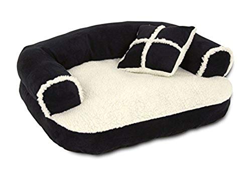 Petmate Aspen Pet Sofa Bed with Pillow for Comfort and Support - One Size - Assorted Colors 20 by 16-Inch