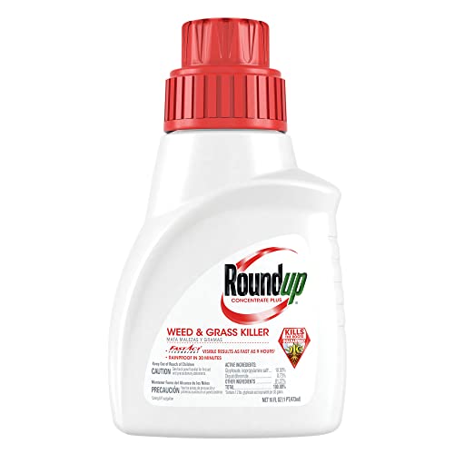 Roundup Concentrate Plus Weed and Grass Killer - Includes Easy Measure Cap, 16 oz.