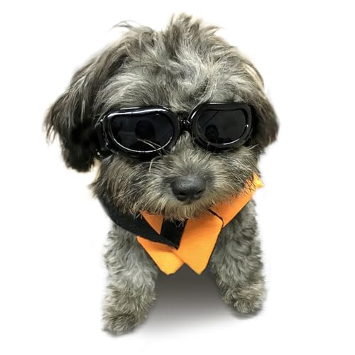 Enjoying Dog Goggles/Sunglasses Small Breed Outdoor UV Protection Dog Sunglasses for Small Dogs Eye Protection Anti-Fog/Wind/Dust/Snowproof Puppy Glasses, Black