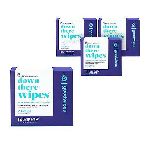 Goodwipes Down There Feminine Hygiene Wipes – Soothing, Cleansing, Flushable Wipes for Period, Pre & Post Intimacy – pH Balanced – Travel Essentials – V. Fresh, 64 Individually Wrapped Wipes