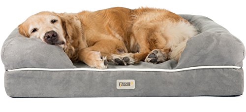 Friends Forever Large Dog Bed, Orthopedic Dog Sofa Memory Foam Mattress, Calming Dog Couch Bed, Wall Rim Pillow, Water Resistant Liner, Washable Cover, Non-Slip Bottom, Chester, Large Grey
