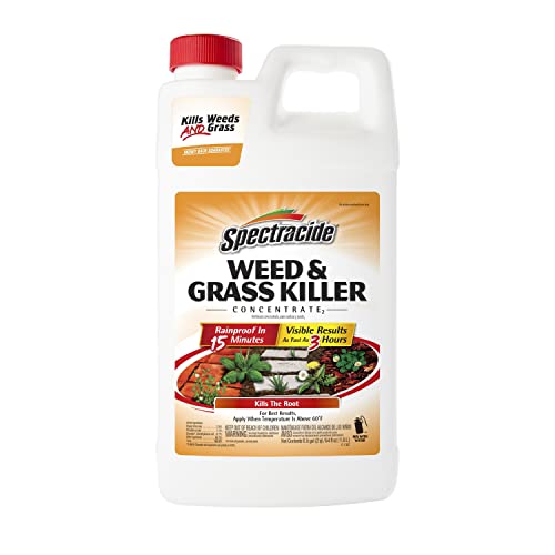 Spectracide Weed & Grass Killer Concentrate, Use On Driveways, Walkways and Around Trees & Flower Beds, 64 fl Ounce