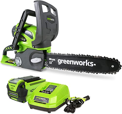 Greenworks 40V 12' Cordless Compact Chainsaw (Great For Storm Clean-Up, Pruning, and Camping), 2.0Ah Battery and Charger Included