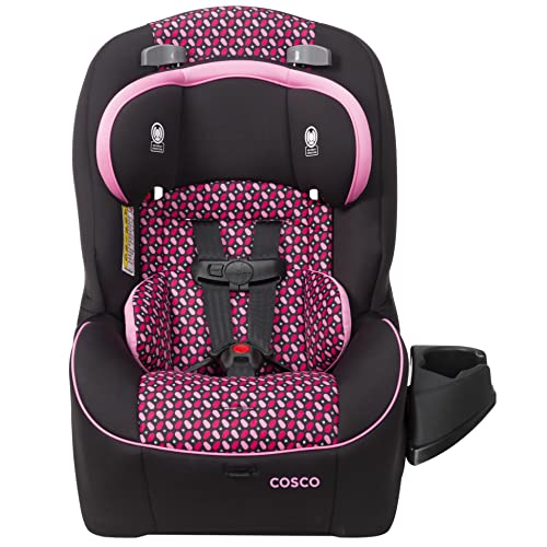 Cosco Empire All-in-One Convertible Car Seat, Extended Use All-in-One Car Seat: Rear-Facing 5-40 pounds, Forward-Facing Harness 22-50 pounds, and Belt-Positioning 40-80 pounds, Spring Petals