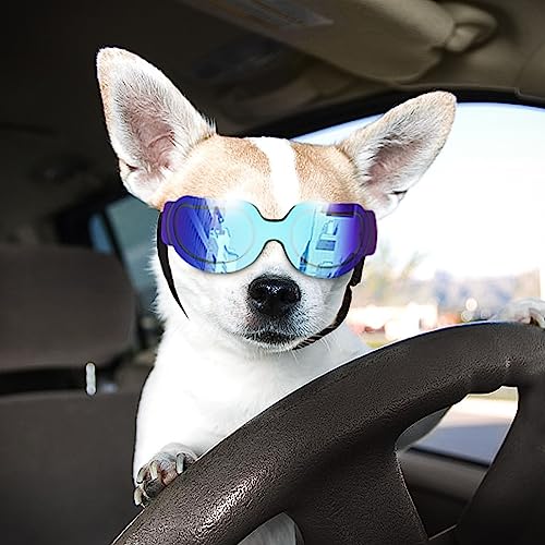NAMSAN Dog Goggles Small Breed UV Lens Doggy Sunglasses for Small Dogs Eyes Protection Outdoor Antifogging Snowproof Windproof Dog Glasses, Adjustable Bright Blue