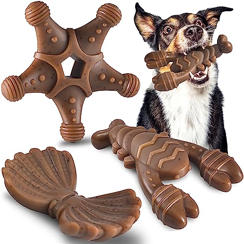 Dog Toys for Aggressive Chewers, Indestructible Dog Toys for Large Dogs, Dog Chew Toys for Large Medium Small Breed, 3 Pack Super Chewer Dog Toys with Tough Nylon, Gift for Dogs