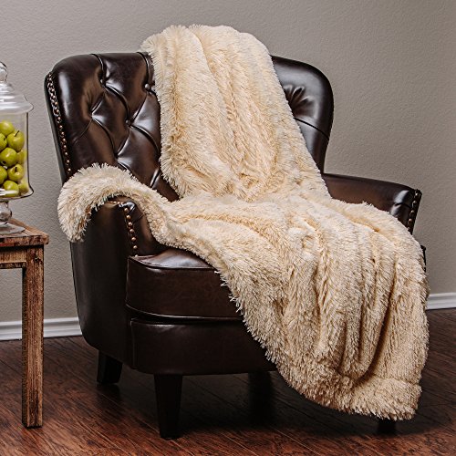 Chanasya Super Soft Shaggy Longfur Throw Blanket | Snuggly Fuzzy Faux Fur Lightweight Warm Elegant Cozy Plush Sherpa Fleece Microfiber Blanket | for Couch Bed Chair Photo Props - 50 'x 65' - Ivory