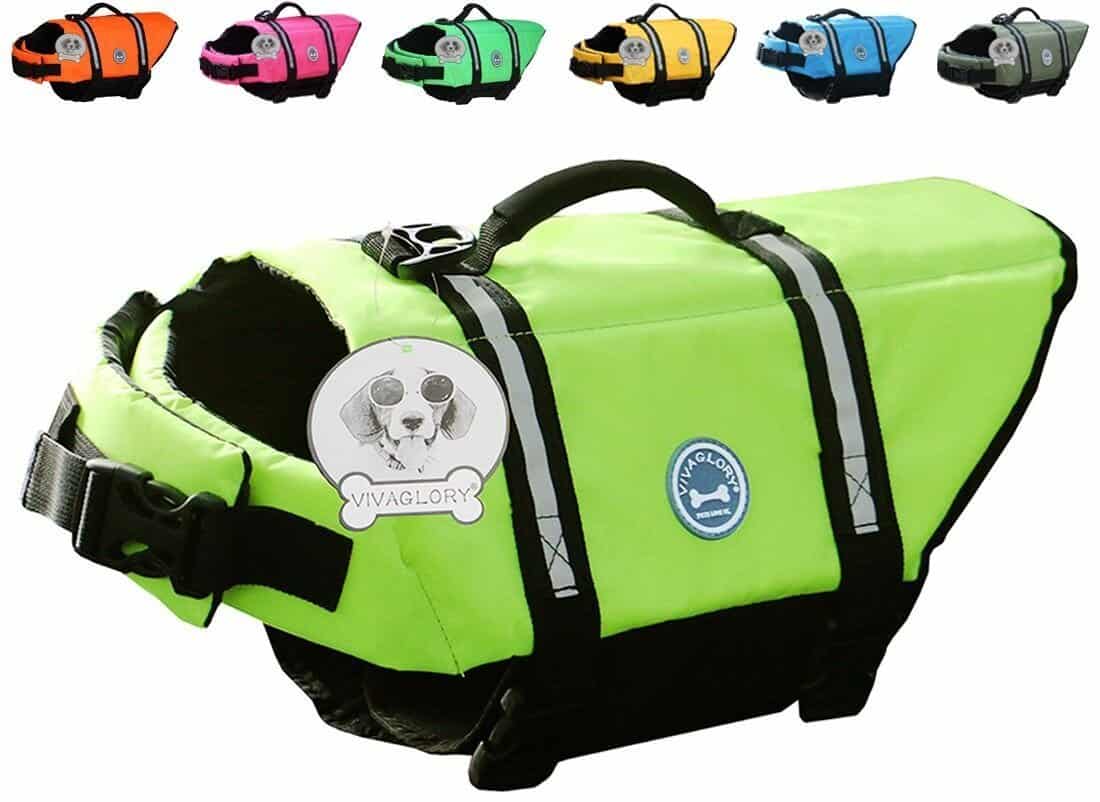 Top 10 Best Dog Life Jackets in 2022 - TopTenTheBest